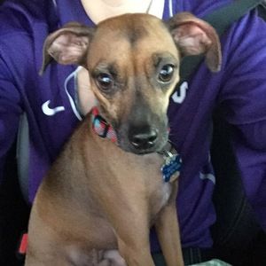 Meet your Posher, Courtney